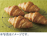 ̃pu]JCU[v̎ʐ^
