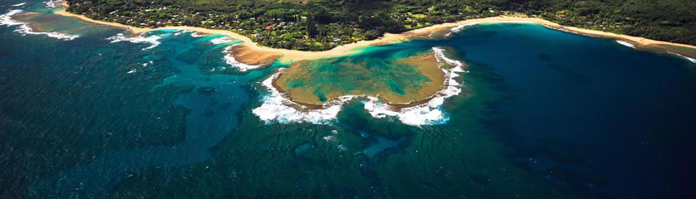 ハワイについて